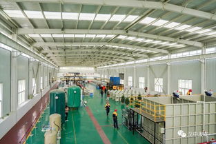 勉縣縣委書記談綠色循環高質量發展之路——技術創新驅動可持續崛起